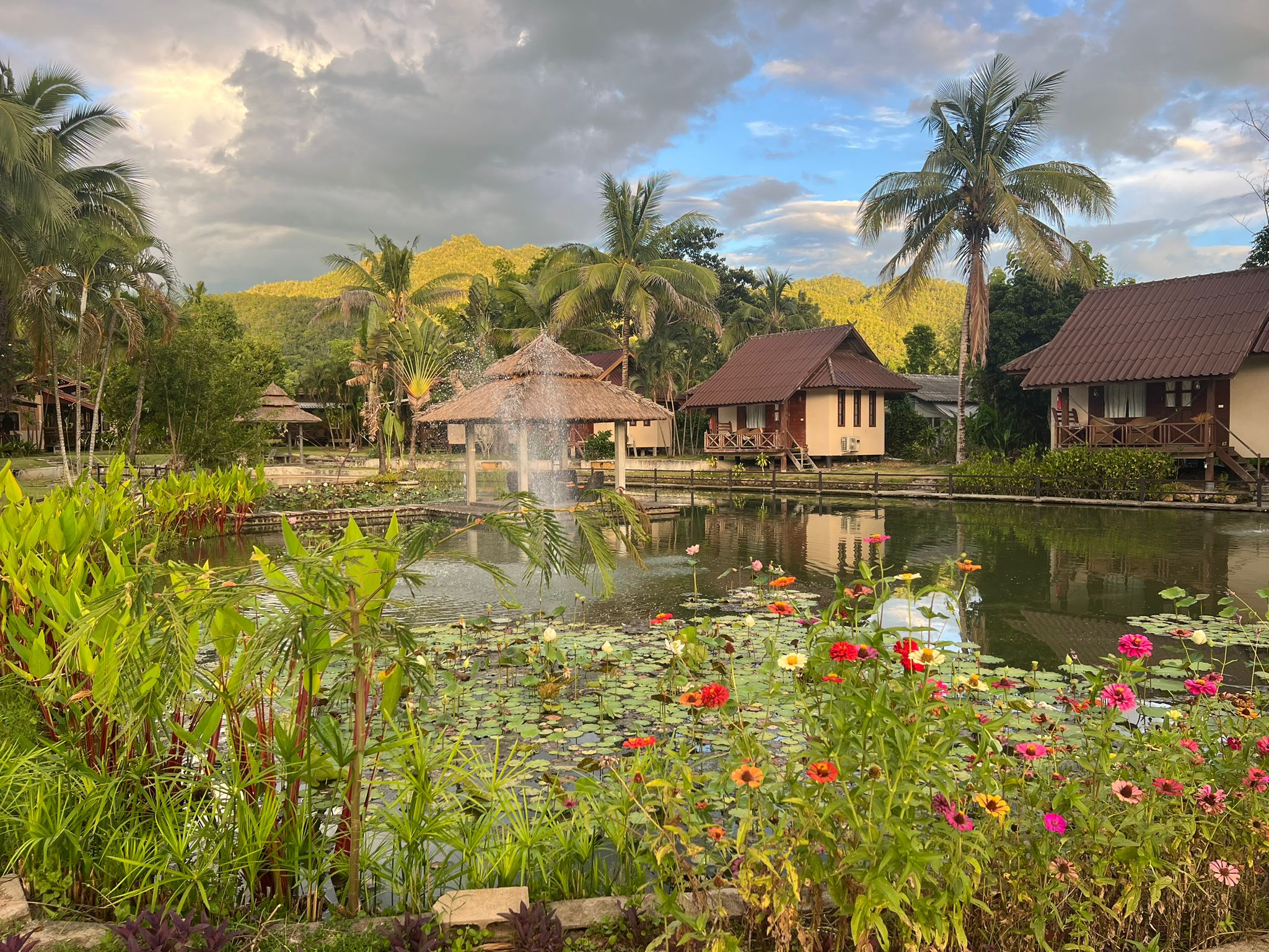 Pairadise guest experience